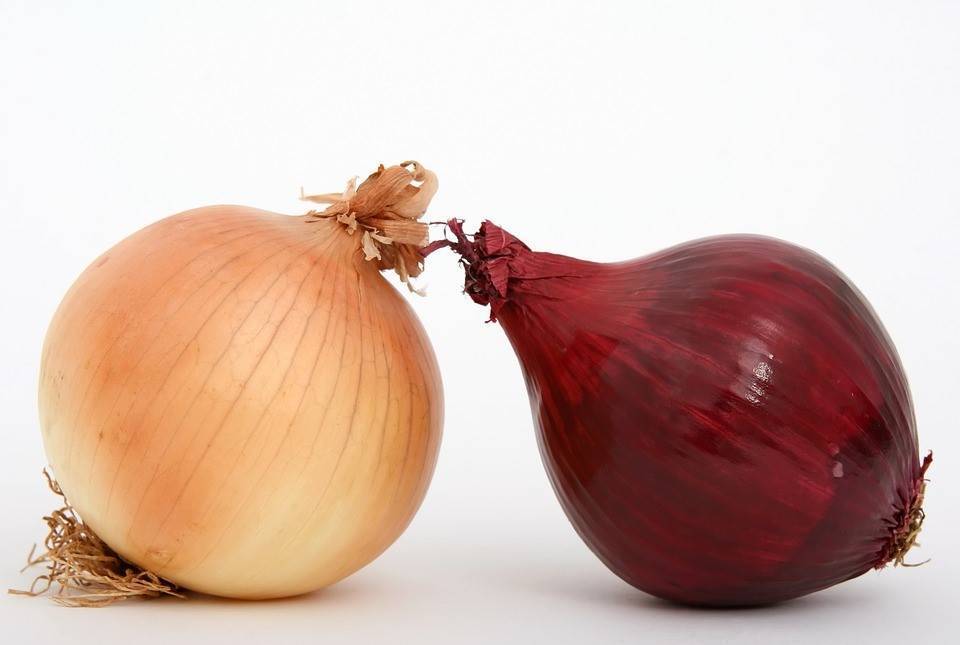 bulb-1238339_960_720|22407_modal